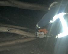 У Добропіллі рятувальники прибирали дерево, яке заважало руху транспорту