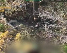 Ситуація у Покровську та Мирнограді станом на 11:00 30 жовтня від 7 корпусу ШР ДШВ