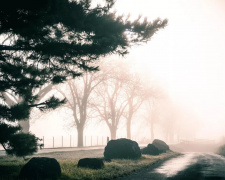 Аномально тепла та нестійка погода очікує українців на останньому тижні листопада