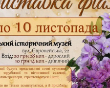 Жителей Покровска приглашают посетить выставку фиалок