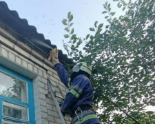 Спасатели помогли жителям Покровского района избавиться от пчел