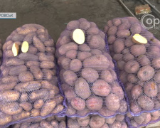  Картопля в Покровську з початку року подорожчала вдвічі