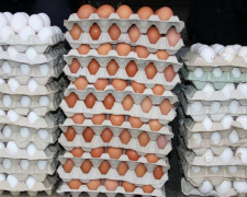 В Украине цена на яйца может подскочить до 40 гривен за десяток