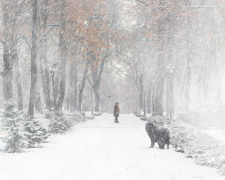 Стійкі «мінуси», сніг та вітер: на межі 2025-2026 років нас очікує справжня зимова погода