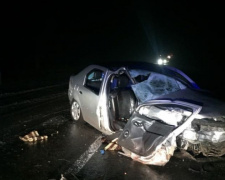 Поліція Покровська розслідує аварію, у якій загинув водій