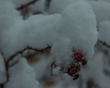 В Україні очікується ускладнення погодних умов: насипе до 20 см снігу