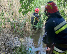 Бійці ДСНС врятували чоловіка, який тонув у ставку Селидового