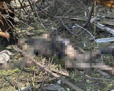 По двоє цивільних загинули сьогодні в Покровську та Білицькому