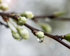 Якою буде погода в перші квітневі вихідні
