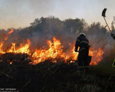 Рятувальники застерігають громадян від необережного поводження з вогнем у природних екосистемах