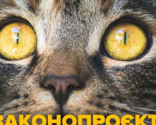 Нет эксплуатации и фотоуслугам: в Украине приняли важный закон о защите животных