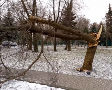 Негода у Покровську: контакт-центр обробив вже 360 повідомлень