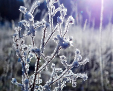 Сухо, морозно та ясно: прогноз погоди в Україні на вихідні 21-22 лютого