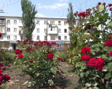 Небезпечно, але з вірою в краще: про настрої мешканців прифронтового Добропілля
