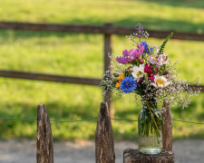 Вихідними 25-26 липня в Україні - помірно тепла погода, місцями з дощами та грозами