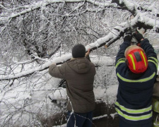 Рятувальники Добропілля допомогли водієві &quot;визволити&quot; автомобіль, на який впало дерево