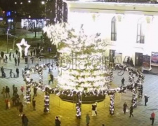 В Мариуполе упала главная елка (видео)