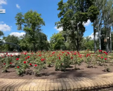 Парк, крамниці та кав’ярні – як живеться в селищі Динзаводу Покровська (сюжет)