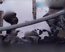 Розпочато розслідування за фактами розстрілів українських військовополонених в Авдіївці та Веселому