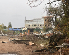 Білицький зоопарк пережив обстріл: як почуваються тварини