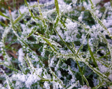 Зима набирає обертів: синоптики спрогнозували погоду Покровську на 4-10 грудня