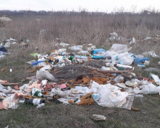 Жителю Покровська доведеться розплатитись за викинуте сміття