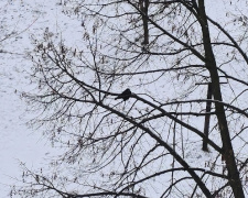 Перші вихідні 2026 року будуть з нестабільною погодою