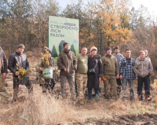 Покровский лесхоз высадил 5 тысяч дубов
