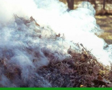 Самовільне спалювання листя та сухої трави – поза законом