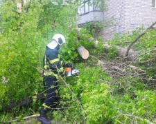 Сильний вітер наробив лиха: у Покровську на дорогу впало дерево, а в районі зірвало навіс