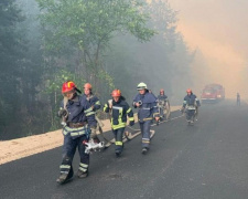 Більшість осіб, які загинули під час пожеж на Луганщині, задихнулись, - Ігор Клименко
