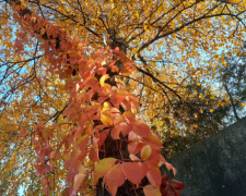 Майже по всій Україні буде тепло та сухо: прогноз на перші вихідні листопада