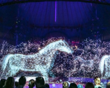 В немецком цирке вместо животных выступают голограммы