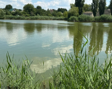 Екологічне лихо у Мирнограді. Каналізаційні стоки перетворили ставок на «мертву» водойму