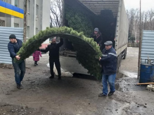 Главная новогодняя елка доставлена в Покровск