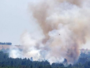 В Запорожье пылает Хортица: спасатели пытаются потушить пожар