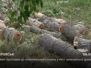 З місця подій. У рамках підготовки до опалювального сезону в Покровську запасаються дровами