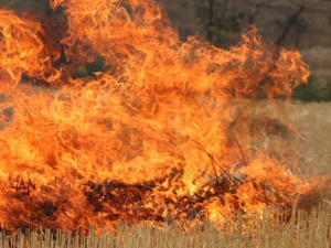 За минулу добу рятувальники 41 раз залучалися до гасіння пожеж на відкритих територіях Донеччини