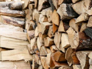 Безкоштовні дрова мешканцям прифронтових територій почнуть доставляти вже наступного тижня