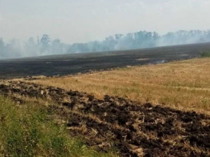 В выходные в Покровском районе произошло пять пожаров в полях