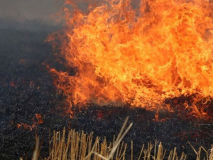 В Покровском районе продолжают гореть поля