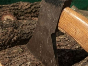 Незаконная вырубка деревьев на Добропольщине может стоить двум мужчинам до 5 лет за решеткой