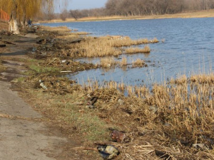 В парке «Юбилейный» приводят в порядок набережную