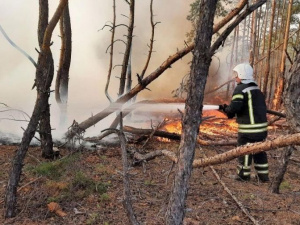Уряд виділив майже 96 мільйонів рятувальникам, які боролись з пожежами на Луганщині