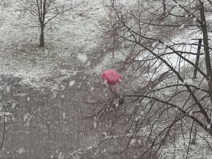 Від +18 до -5°С та перший мокрий сніг прогнозують в Україні на тижні 17-23 листопада