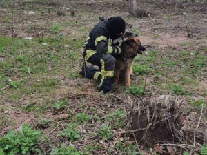 У Покровську рятувальники вилучили із занедбаного колодязя собаку