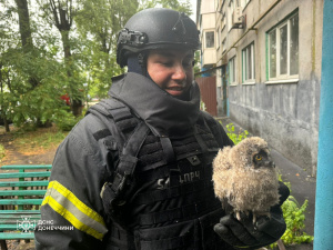 У Покровську надзвичайники врятували трьох совенят