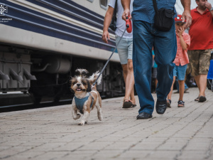 Зважаючи на загострення ситуації в регіоні, жителів Донеччини закликають до евакуації