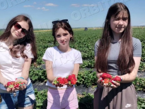 Заради дитинства: юні гродівці відпочили, оздоровилися та побували у подорожах