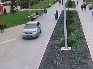 В Покровске оштрафовали водителя, который катался по парку